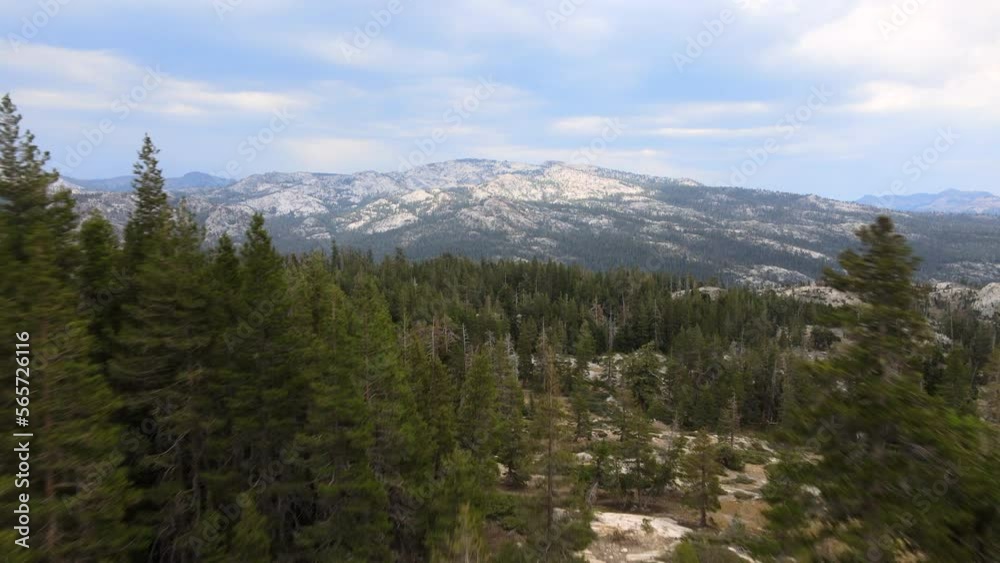 Northern California Mountain with Trees 2 Northern California Mountain with Trees 2