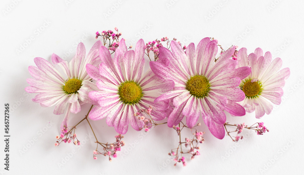 Spring background - spring composition on a white background. Isolate. Copy space. Spring background - spring composition on a white background. Isolate. Copy space.