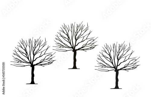 Withered trees silhouettes