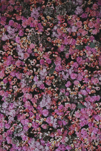 Fototapeta Naklejka Na Ścianę i Meble -  background of pink flowers