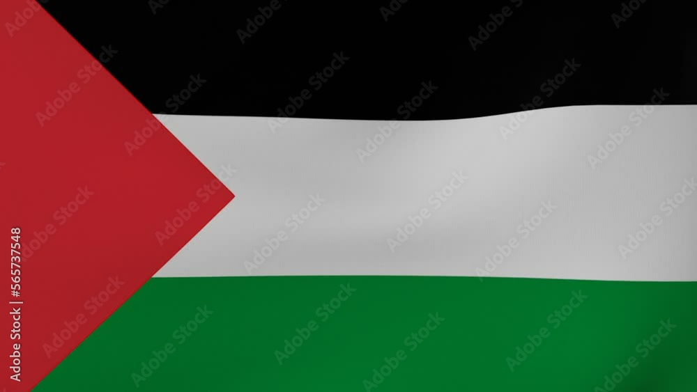 National Flag in the Wind - Looping Animation  -Palestine 
