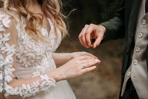 Embracing the hands of newlyweds with wedding rings 4379.