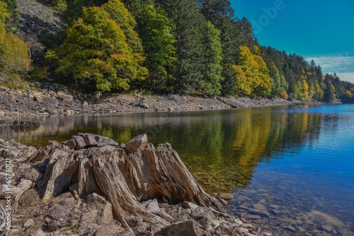 Le lac d