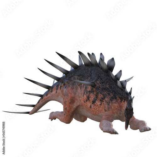 Kentrosaurus dinosaur isolated 3d render