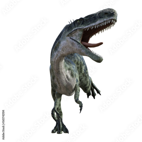 Fototapeta Naklejka Na Ścianę i Meble -  Monolophosaurus dinosaur isolated 3d render