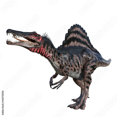 Spinosaurus dinosaur isolated 3d render photo