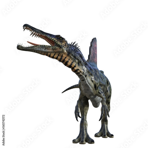Spinosaurus dinosaur isolated 3d render © Blueinthesky