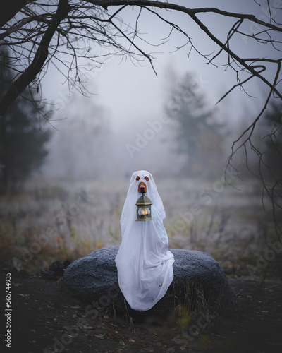 Photography dog ghost halloween