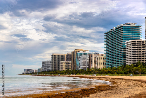 Seaweed pollution along Miami Beach