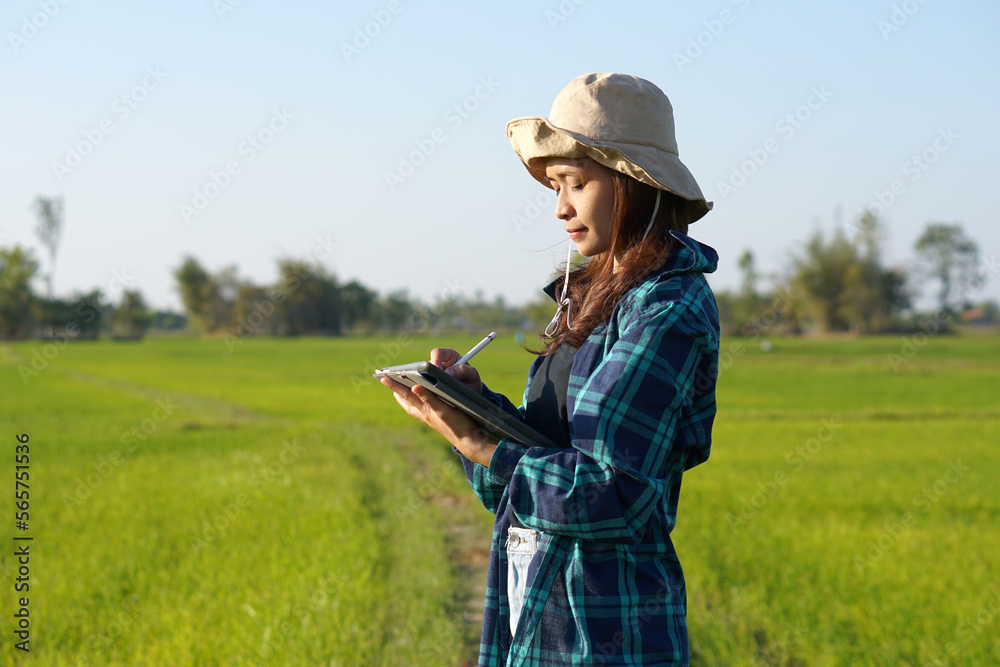 Asian female farmers use computers to analyze the growth of rice plants. Asian female farmers use computers to analyze the growth of rice plants.