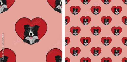 Border collie dog with paws pattern, Valentine's day heart wallpaper. Love red heart with pet head holiday texture. Dog face Holding Heart Cartoon square background. St Valentine's day present paper.