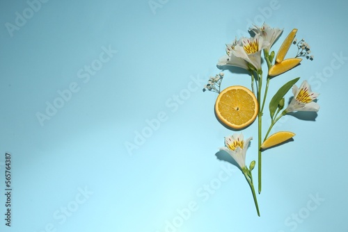 Flat lay composition with alstroemeria flowers and orange slices on light blue background, space for text photo
