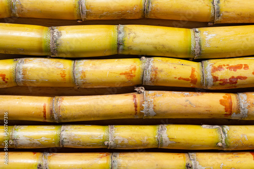top view several pieces of sugarcane horizontal composition