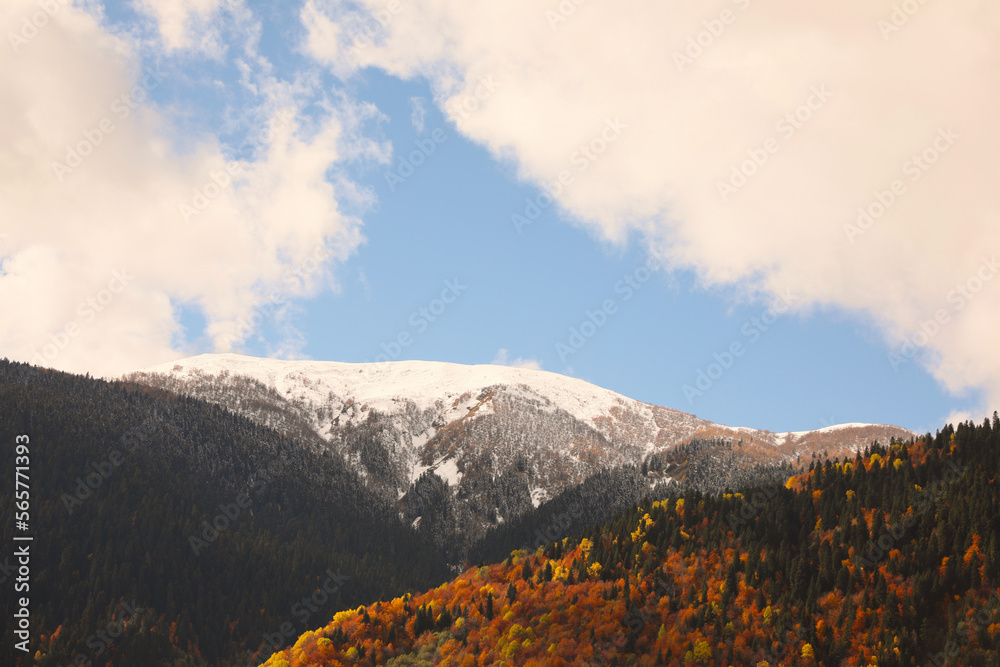 Picturesque landscape of high mountains with forest under blue cloudy sky