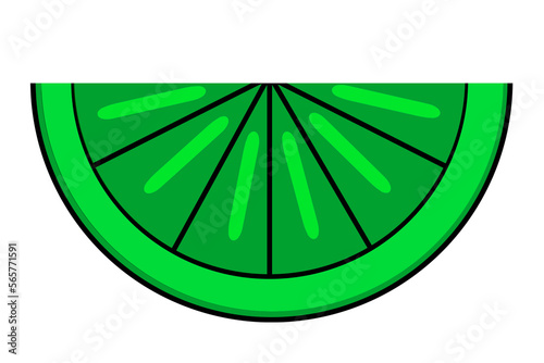 abstract drawing of lemon  orange  grapefruit slices. green isolatedabstract drawing of lemon  orange  grapefruit slices. green isolated