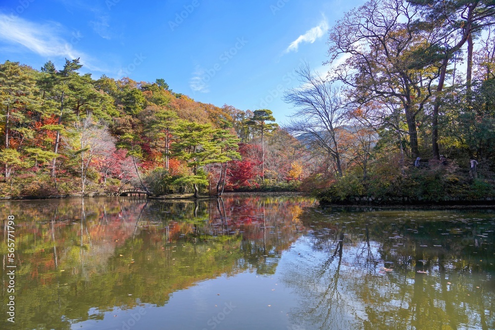 青空バックに見るきれいに色づいた紅葉情景＠神戸、兵庫