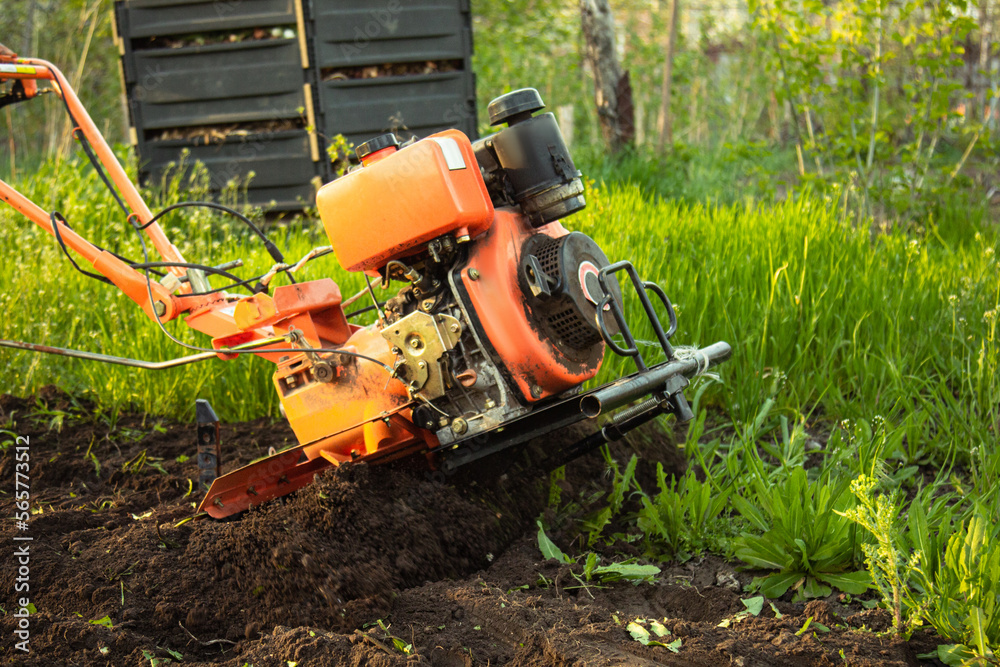 a small agricultural tractor plows the ground, the work of a walk-behind tractor. land treatment for planting. a small agricultural tractor plows the ground, the work of a walk-behind tractor. land treatment for planting.