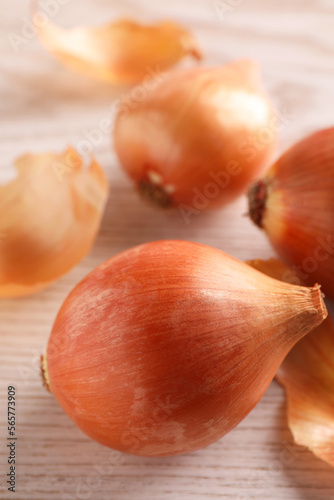 Fototapeta Naklejka Na Ścianę i Meble -  Raw ripe onions on wooden table, closeup