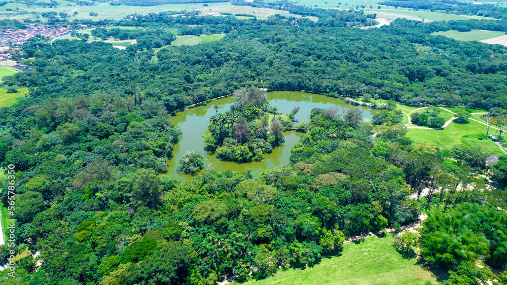 Obraz premium Aerial view of the Burle Marx park - Parque da Cidade, in São José dos Campos, Brazil. Tall and beautiful palm trees