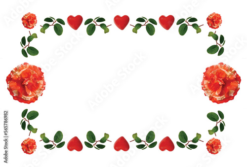 Love card congratulations with hearts and carnation roses, template for text transcription.Greeting card