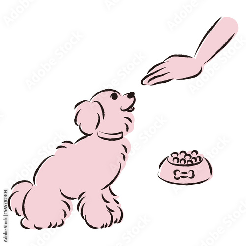 待てをする犬（ごはん・しつけ）