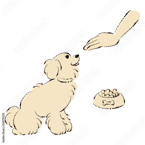 待てをする犬（ごはん・しつけ）