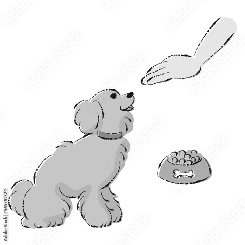 待てをする犬（ごはん・しつけ）