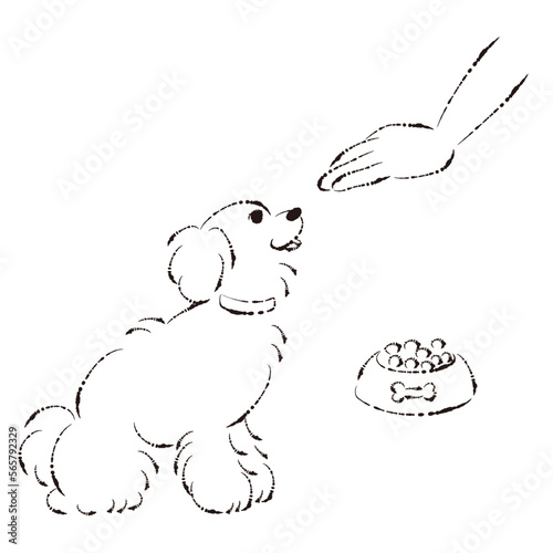 待てをする犬（ごはん・しつけ）