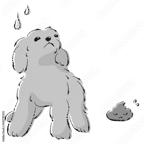 うんちをして困った表情の犬（トイレのしつけ）