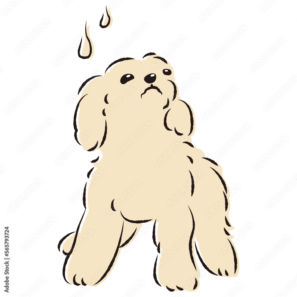 困った表情の犬（不安・心配）