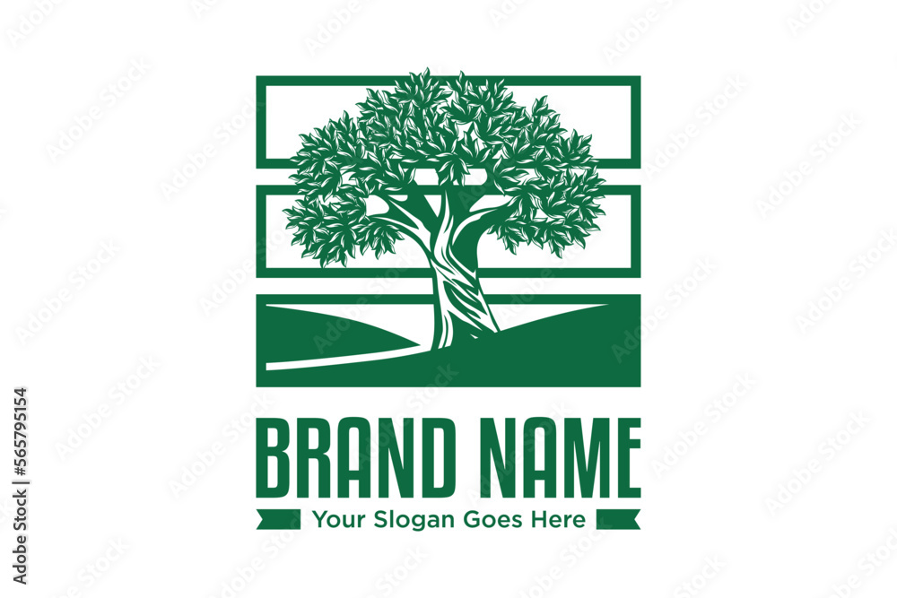 Obraz premium Tree square illustration logo design