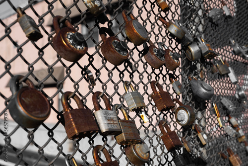 Rusty locks on the fence
