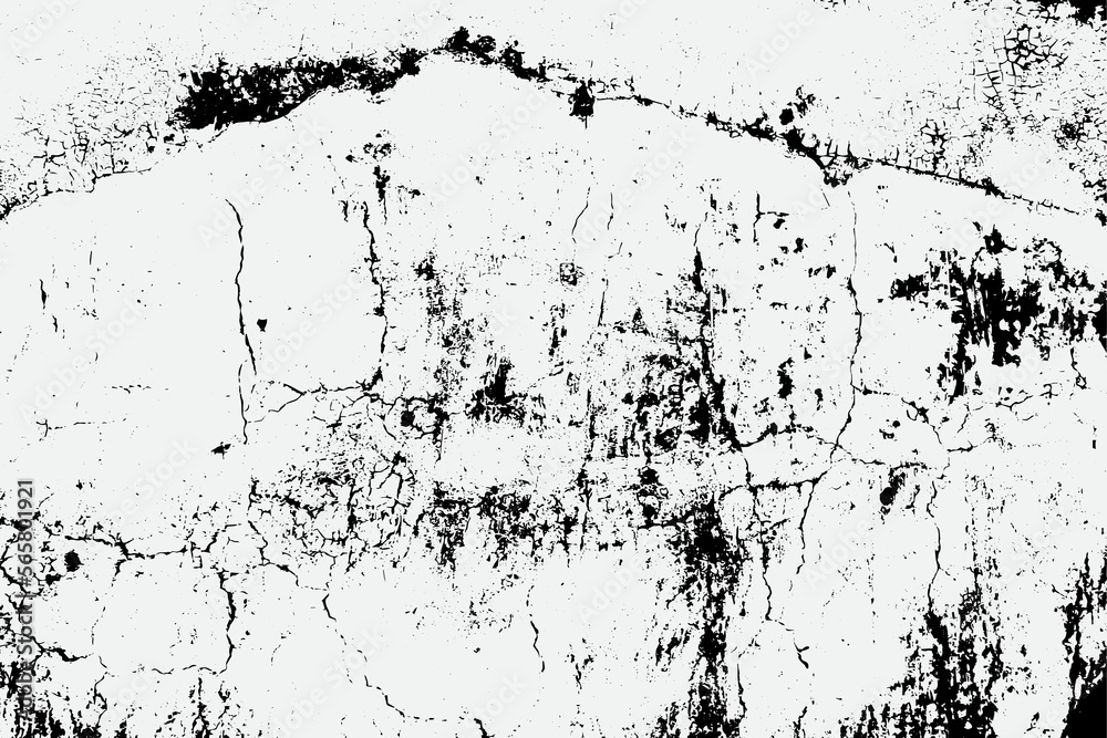 black and white fleck texture, Artistic and natural Texture With Vector EPS format