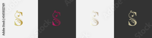 letter s beauty logo with flourish ornament
