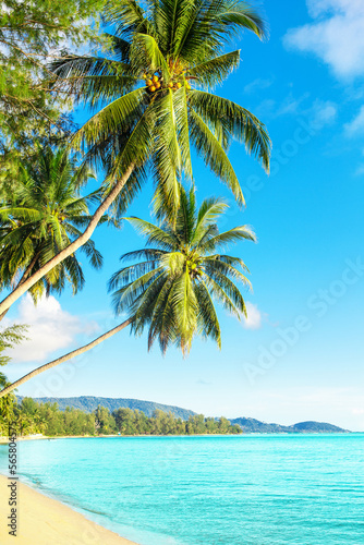 Beautiful tropical island sea beach landscape  turquoise ocean water  yellow sand  sun blue sky white cloud  green coconut palm tree leaves  paradise nature  summer holidays  vacation  tourism  travel