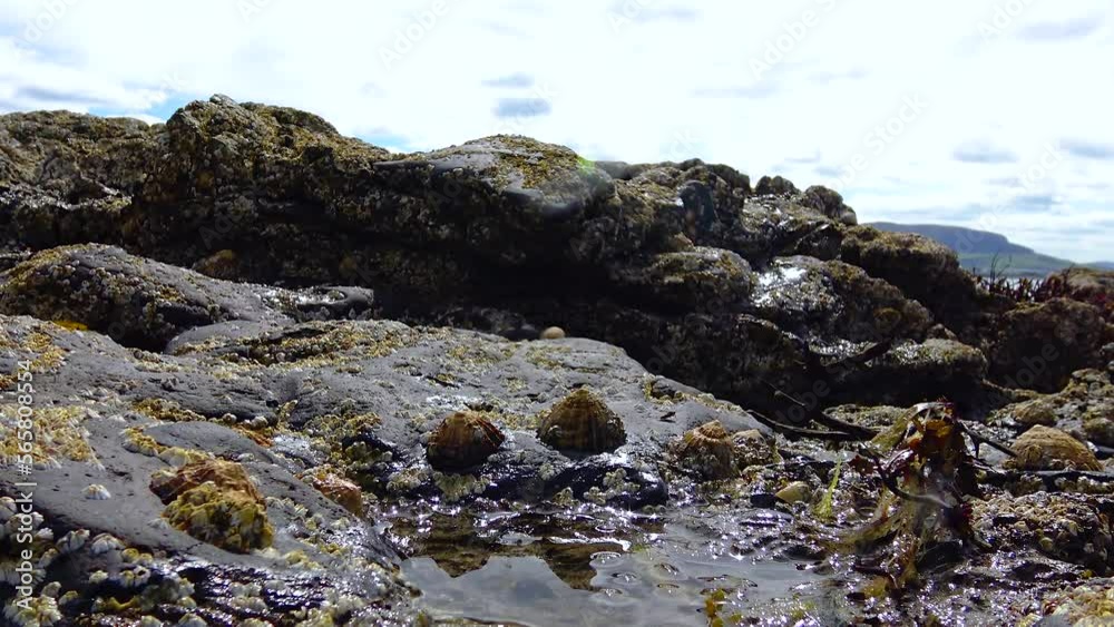 Atlantic Ocean coast at low tide Ireland Atlantic Ocean coast at low tide Ireland