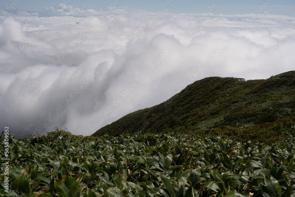 Fototapeta premium 平標山 仙ノ倉山