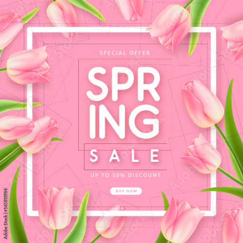 Spring big sale poster with realistic full blossom tulips on pink background. Vector illustration