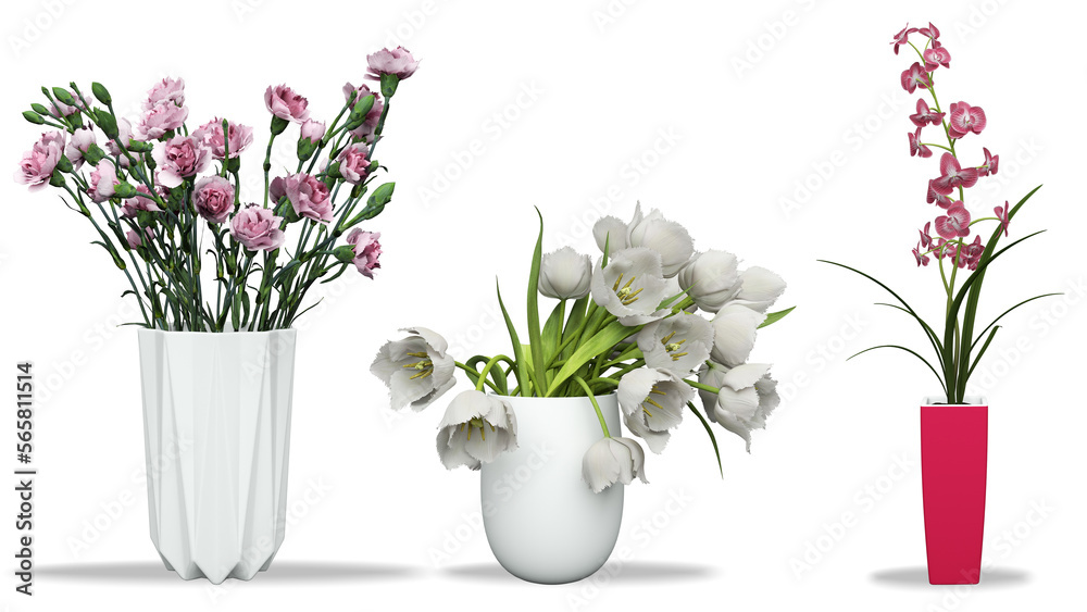 3D realistic vector icon illustration potted plants for the interior ...