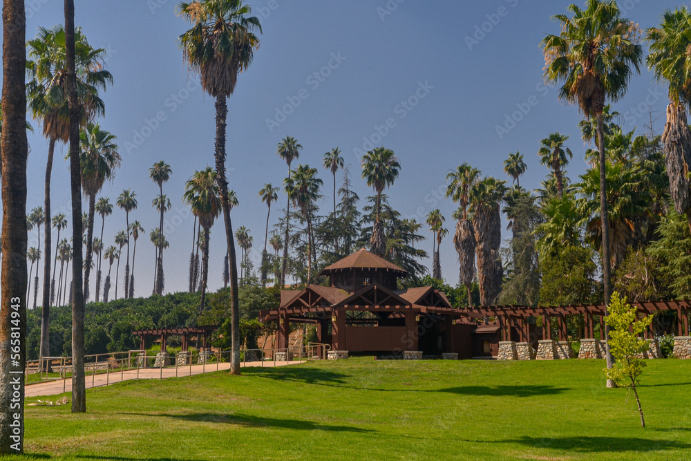 gazebo in California Citrus State Historic Park (Riverside, California, USA)	