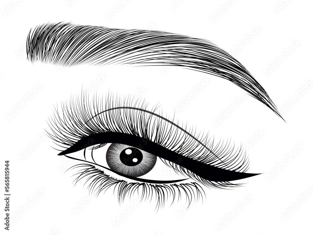 Single Hand Drawn Eyelash & Brow on white background Single Hand Drawn Eyelash & Brow on white background