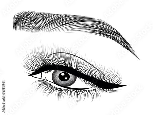 Single Hand Drawn Eyelash & Brow on white background