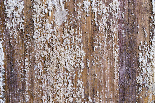 Mold Growth on Cutting Board Wood Close-Up. photo