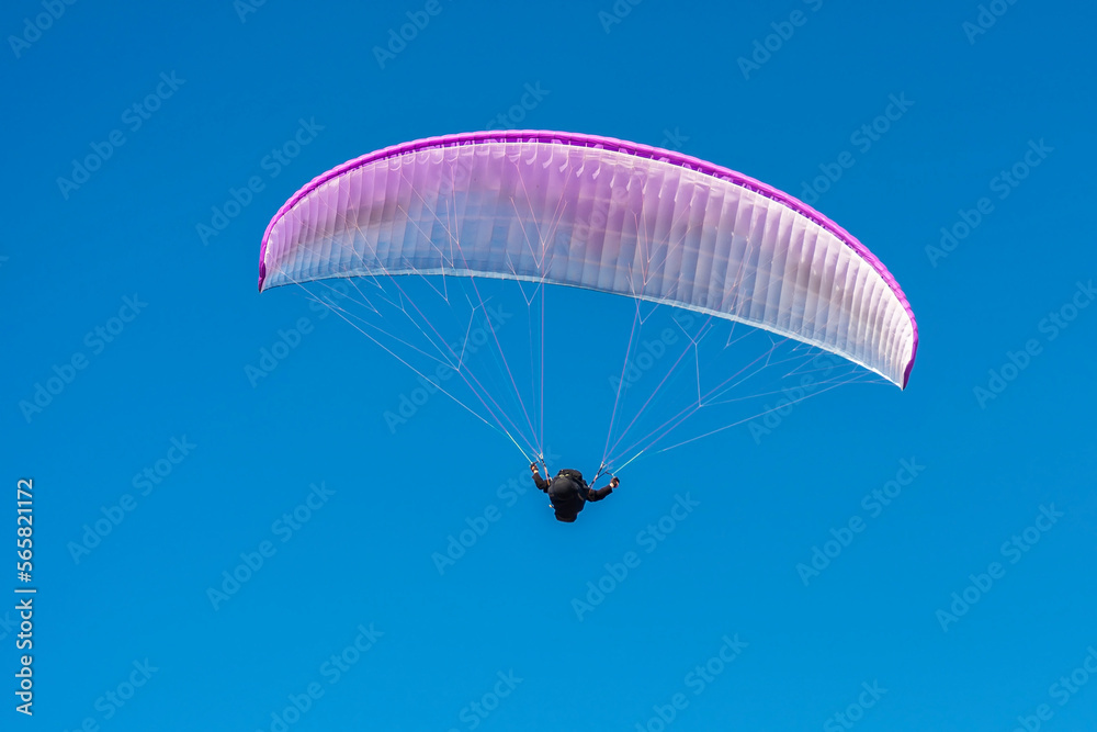 Paraglider white-pink colors against the blue sky Paraglider white-pink colors against the blue sky