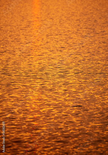 Golden expanse of water at sunset.