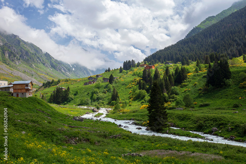 A beautiful landscape from the Elevit uplands of Rize in Black Sea region of Turkey.  © Caner