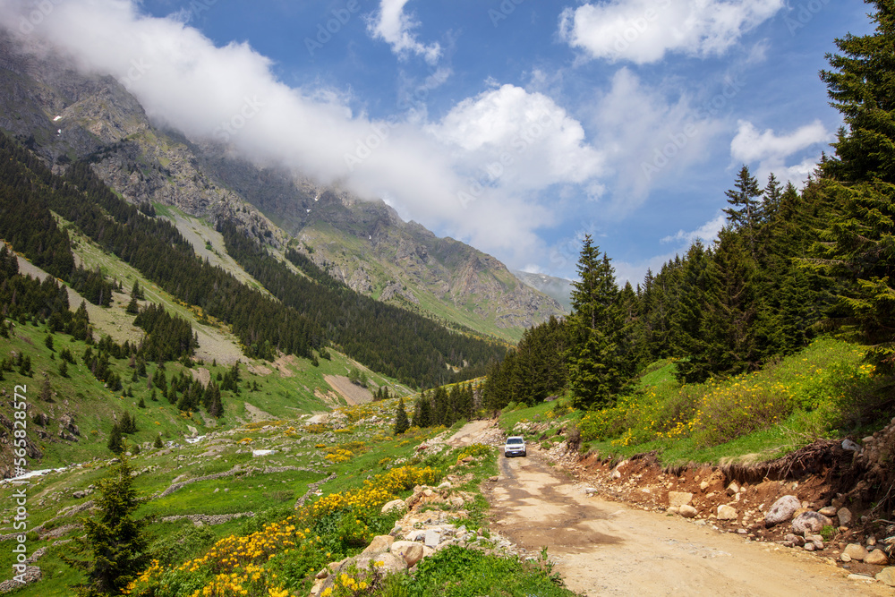 A beautiful landscape from the Elevit uplands of Rize in Black Sea region of Turkey. A beautiful landscape from the Elevit uplands of Rize in Black Sea region of Turkey.
