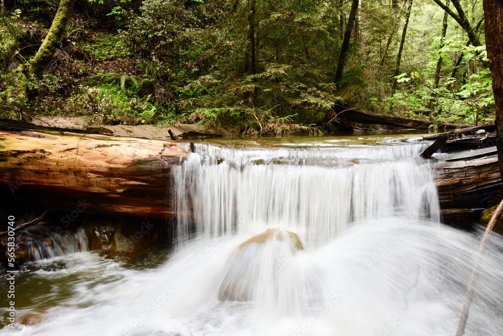 Cascade of water