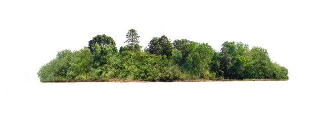 Group of tree. Green treeline isolated on white background.
