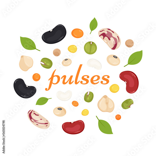 Mix of grain legumes on white background. World Pulses Day. Benefits of legumes, a source of protein and fiber. Vector illustration